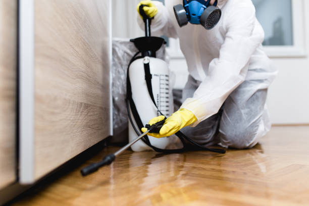 Best Affordable Pest Control Services  in Hlsboro, IL