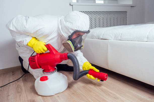 Best Wildlife Control Services  in Hlsboro, IL