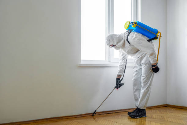 Professional Pest Control in Hillsboro, IL