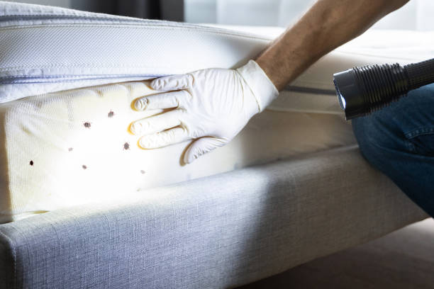 Best Exterminator Services  in Hlsboro, IL