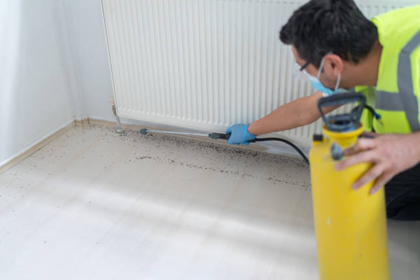 Best Emergency Pest Control  in Hlsboro, IL
